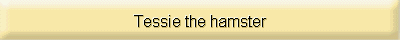 Tessie the hamster
